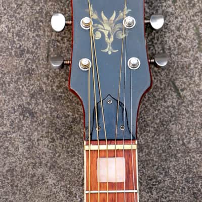 ♫ Vintage + Super Cool Top Line Eko (Rare Blondy!) c.1974 Pro Refurb♫ image 7