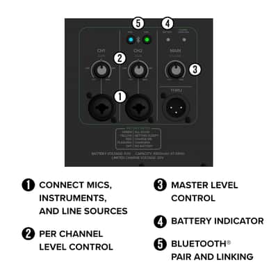 Mackie Thrash212 GO 12" Battery-Powered Loudspeaker with Bluetooth image 6