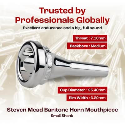 Denis Wick DW5880B SM6 Silver-Plated Baritone Mouthpiece, Steven Mead model image 4