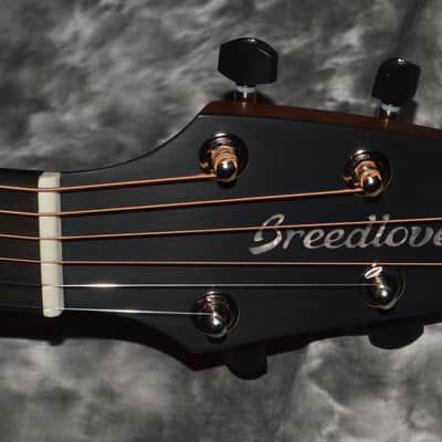 2022 Breedlove - Premier Concert CE - Edgeburst image 4