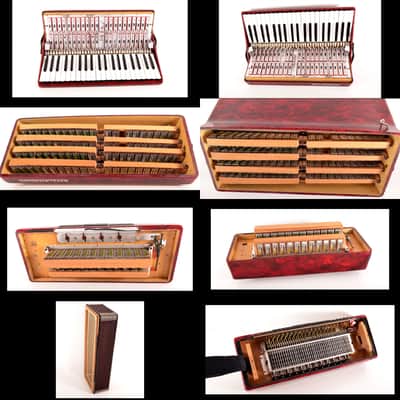 Immagine Royal Standard Montana (Weltmeister) 120 Bass Musette Top Accordion+Hard Case&Leather Straps - VIDEO - 12
