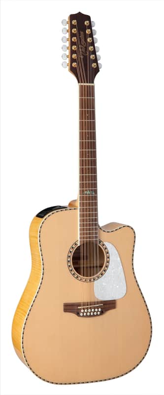 Takamine GD74CE-12U Gloss Natural w/Case image 1