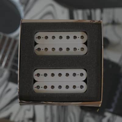 Bare Knuckle Juggernaut 7 Set - White / Burnt Chrome Screw image 2