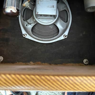 Fender Champ 1956 - Tweed image 9
