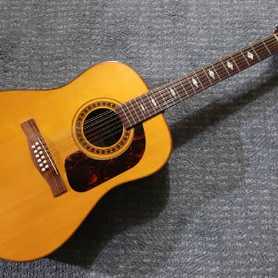 Vintage 1960s Giannini GS 680 12 String Acoustic Guitar Cedar Top Guitar Brazilian Rosewood Beautiful Lush Tones Case image 1