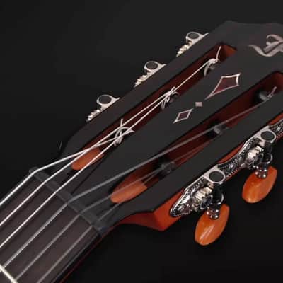 Furch Classical Guitar GNc 4-SR (Ship in about 2 weeks) image 11
