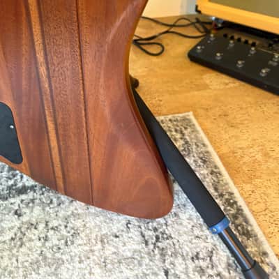 2006 USA Gibson Firebird V image 2