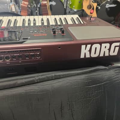 Korg PA1000 61-Key Professional Arranger 2017 - Present - Red image 8