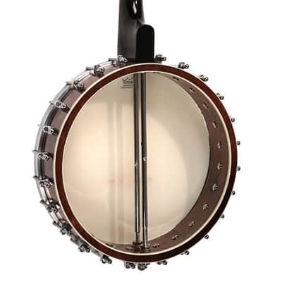 Gold Tone Model IT-250 Irish Tenor 4-String Open Back Banjo with Case image 3