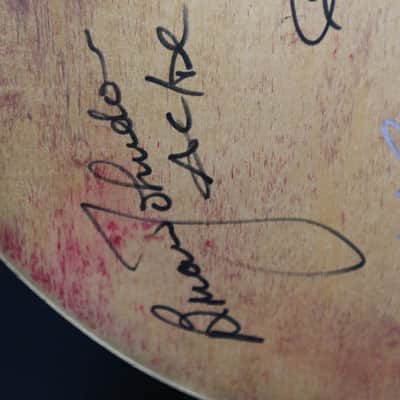 Mid 70s Gibson ES 335 Signed by AC/DC image 7