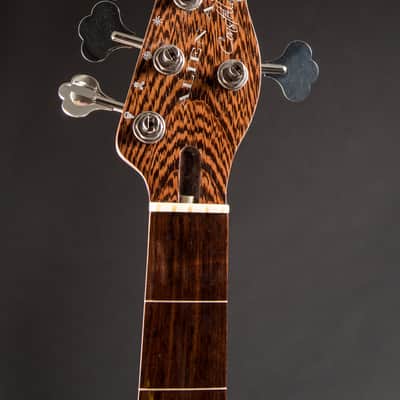 Alien Audio PP 5-String w/HSC image 9