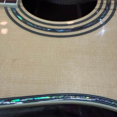 Washburn D-30S acoustic new - gloss image 2