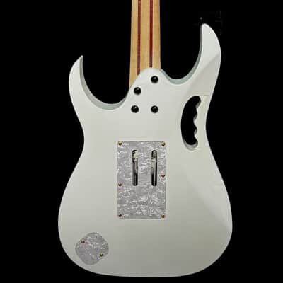 STEVE VAI OWNED IBANEZ JEM LACS "BRAXIS" image 5