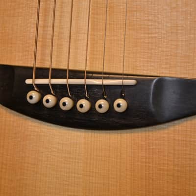 Baden - American Made TJ Baden Guitar Madagascar image 13