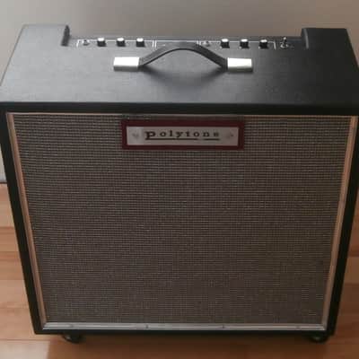 1974 Polytone Model 101 Bass Amp-  Fantastic  Condition !! image 1