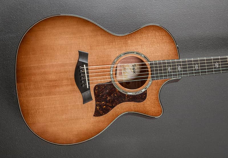 Taylor 514CE - Red Ironbark