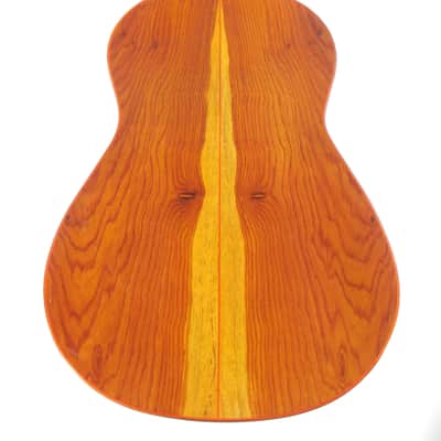 Gerardo Escobedo 2018 - absolutely stunning classical guitar - lightweight, lively and explosive - check video! image 5