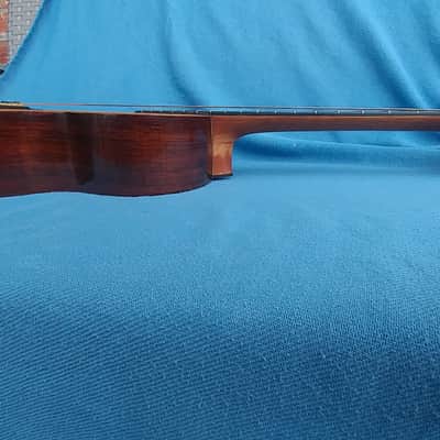 all original 1892 Washburn Parlor Adirondack Top Brazilian rosewood image 15