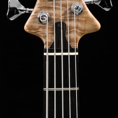 Ritter Roya 5-String Captain Silver USED (183) image 5