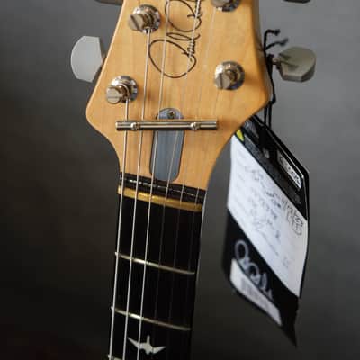 PRS Silver Sky Dead Spec JM-R image 9