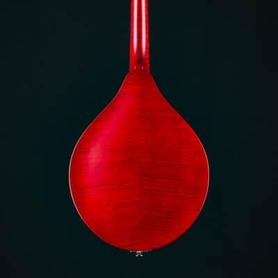 Collings MT-O Cherry Burst Gloss Top Custom Mandolin NEW image 3