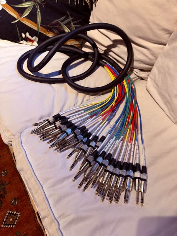 Seismic Audio Trs to trs 16 channel snake. 10’ feet image 1