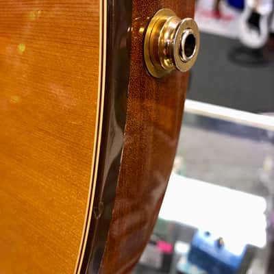 Gibson Chet Atkins Ren Ferguson SST Nylon String Acoustic Electric with Case - Pre Owned image 13