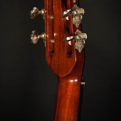 Eastman DM2/v Gypsy Jazz 2024 - Antique Varnish image 18