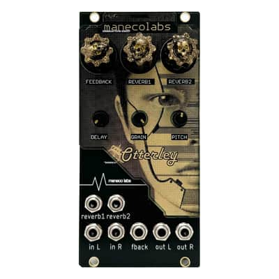 Maneco Otterley Eurorack Reverb Module image 1
