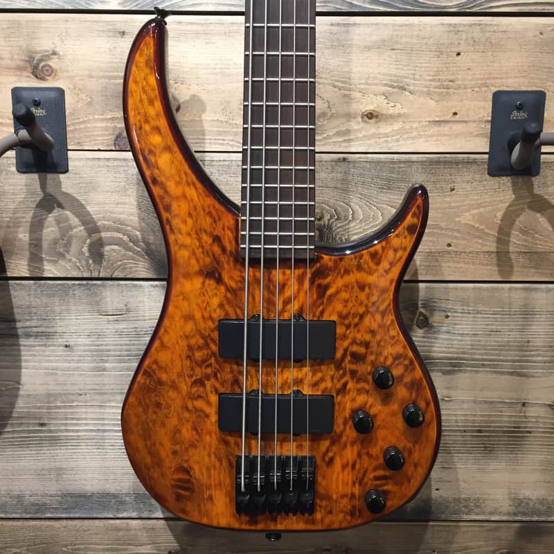 Peavey Cirrus BXP 5 String Tiger Eye Quilt Top | Reverb