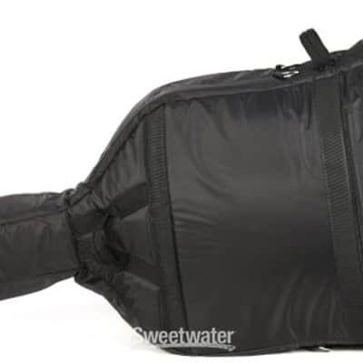 Eastman CB50 Padded Double Bass Bag - 3/4 Size (ECB50DB34d1) image 5