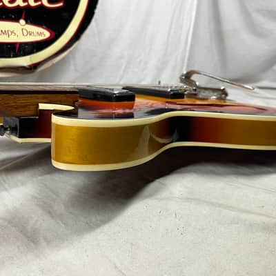 Winston? Semi-Hollow Body Electric Guitar image 20