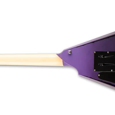 ESP LTD Alexi Ripped Purple Fade Satin with Ripped Pinstripes Electric Guitar + Hard Case image 2