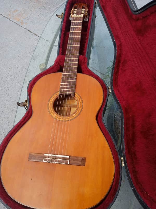 Unbranded High End Classical Unknown - FREE SHIPPING image 1