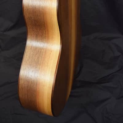 Lone Tree Small Jumbo 2020 - Gloss Top Bild 6