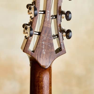 Artinger 25th Anniversary Hollow Body Custom image 25