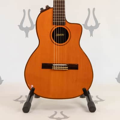 Daion DPC-999 Solid Body Acoustic / Classical 1983 Brown image 1