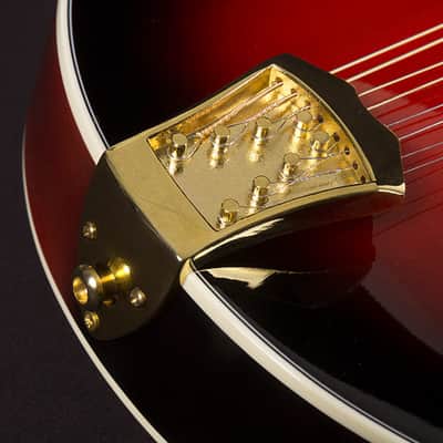 Washburn M3SWE | Bluegrass F-Style Mandolin w/ HSC, Trans Wine Red. New with Full Warranty! image 9