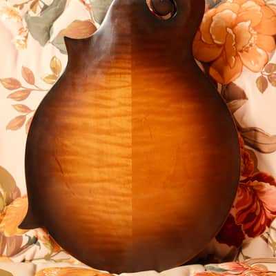 2004 Gibson Master Model F-9 Mandolin Sunburst image 4