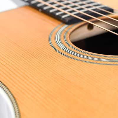 Eastman E20D TC Thermo Cured Adirondack image 11
