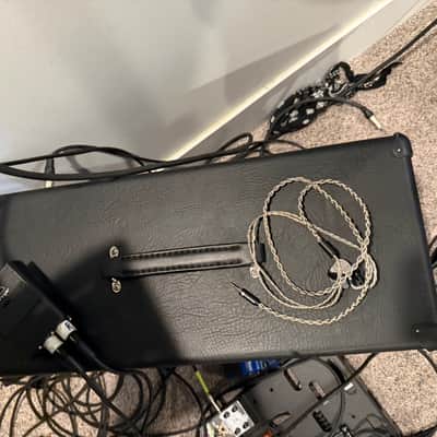 Bad Cat Era Head with matching 1x12 cab image 4
