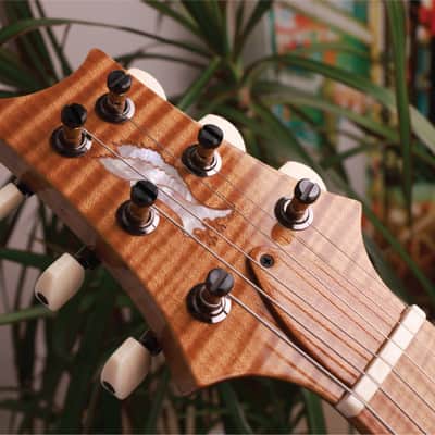 [RRP £10,995] PRS 2023 Private Stock Modern Eagle V Limited Edition in Laguna Dragon's Breath | Mint Condition | image 17