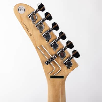Kramer Baretta "Hot Rod" (EVH® D-Tuna; Incl. Premium Soft Case), Custom Graphics Hot Rod | Demo image 9