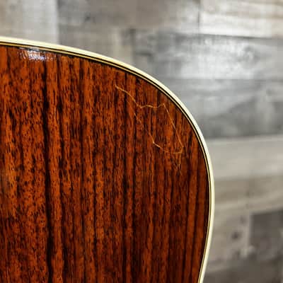 Segovia Sessions Series 12-String 1970's W/HSC image 12