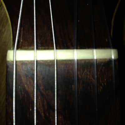 Giannini Craviola 1979 Nitrocellulose image 12