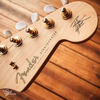 Fender Japan Richie Kotzen Stratocaster STR-RK Transparent Red Burst 2011 image 7