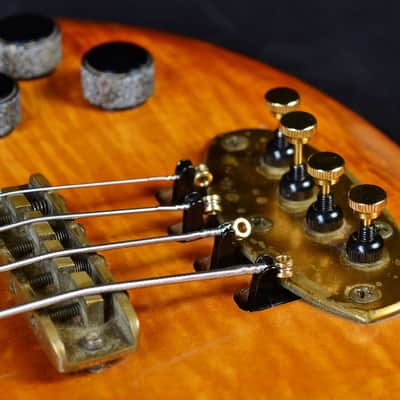Oasis Bass by Gary Cooper from Alembic 1977-1983 Amber image 4