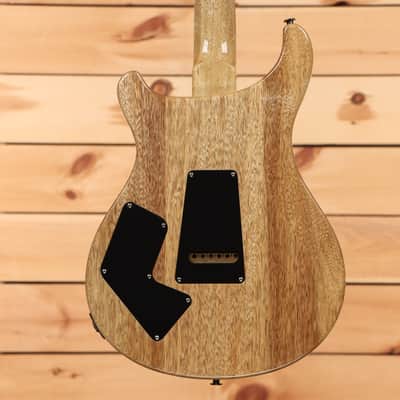 Paul Reed Smith Modern Eagle V Wood Library - Angry Larry - 24 0397835 - PLEK'd image 7