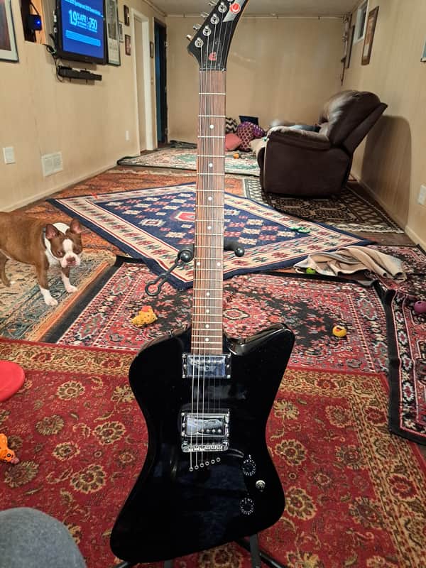 Epiphone Slasher 2001 - Metallic Black image 1