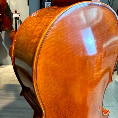 Student Cello: 1/2 Cello - Segue Concertino Plus 2016 - Oil varnish image 12